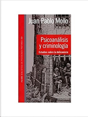 Libro Psicoanalisis Y Criminología Nvo