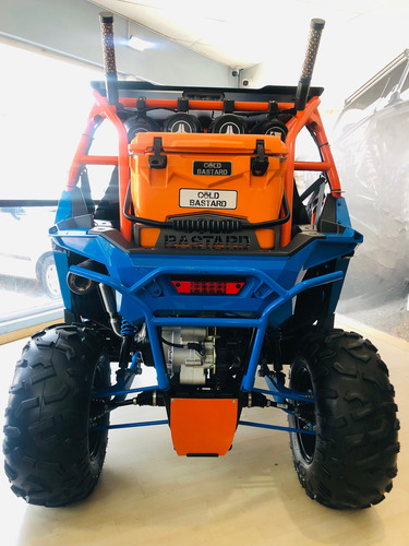 Rzr Efi Tld 200. 2023