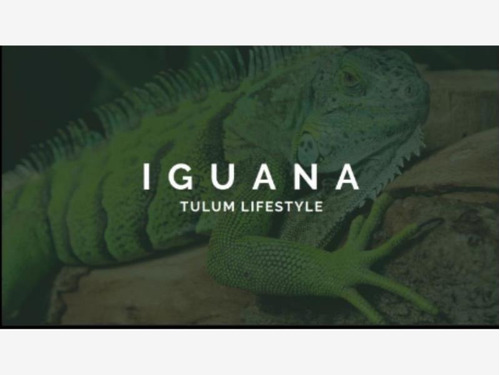 New House Bienes Raíces Tiene Para Ti Estos Locales En Iguana, Tulum En Venta
