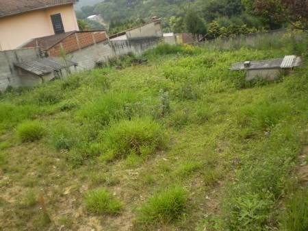Terreno À Venda Na Estrada Djalma Pinto Ribeiro, Potuverá, Itapecerica Da Serra - Sp - Liv-10362