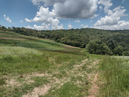 Imagem 11 de 30 de 20o Terreno A Venda Para Investimento