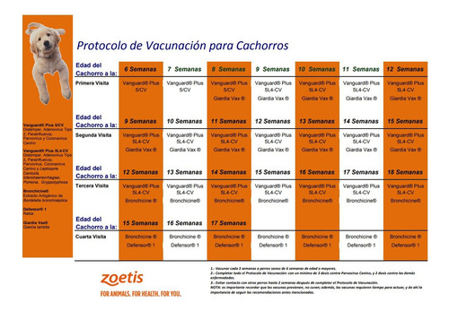 Suplemento Perro Vacuna Biologico Defensor 10 Dosis