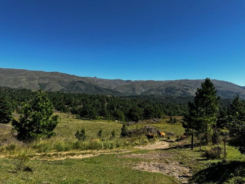 En Venta Excelente Propiedad Con Costa Rio - En San Miguel De Los Rios - Inv0157
