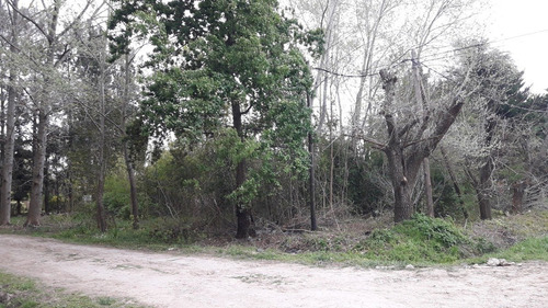 Imagen 2 de 5 de Lote De 996m2 En El Rodeo