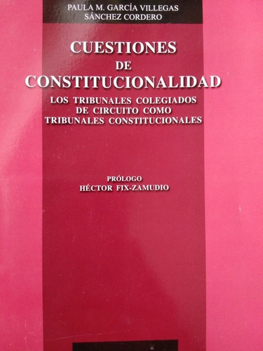 Cuestiones De Constitucionalidad (paula M, 2007)