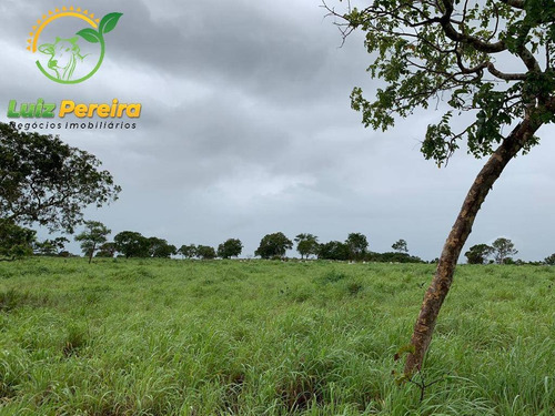 Imagem 5 de 15 de Fazenda À Venda Em Monte Santo - To - 576 Hectares (pecuária) - 2043