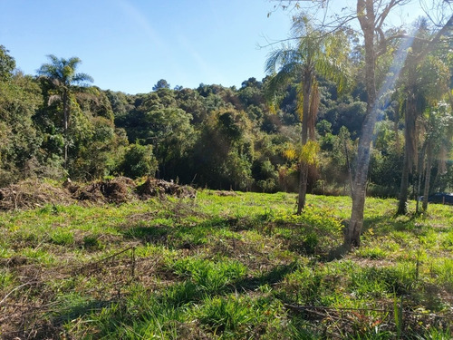 Imagem 6 de 13 de Lindo Terreno Ibiuna 920 Mts Desmatado,linda Vista, Ac Carro
