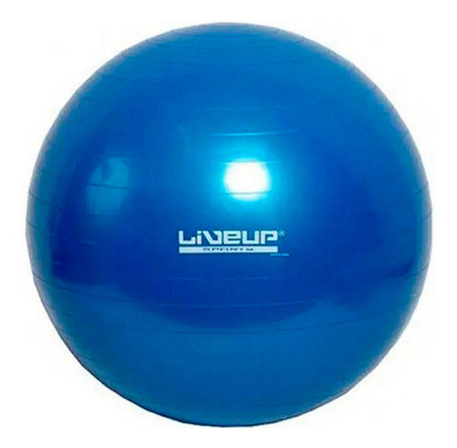 Bola Suica Premium 65cm Azul Liveup