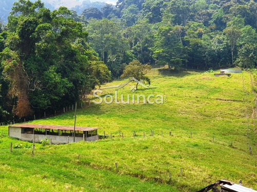 Imagen 17 de 30 de Amplia Finca En Venta Mérida, Chiguará