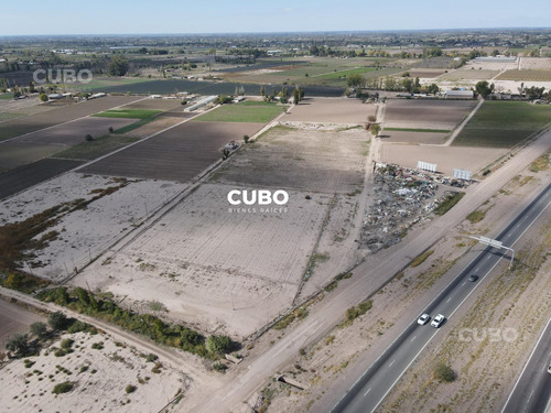 Cubo Vende 12 Hectareas De Viñedo En Rodeo De La Cruz Mendoza Argentina