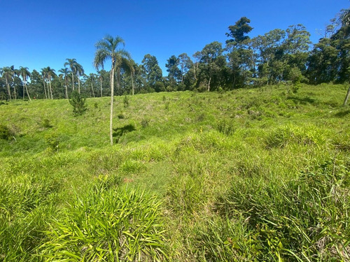 Imagem 4 de 14 de L30- Terrenos Proximo A São Roque
