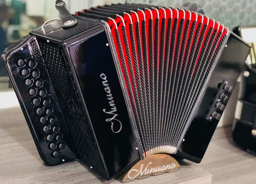 Acordeon 8 Baixos Minuano 8/21 Gaita De Botão Várias Cores