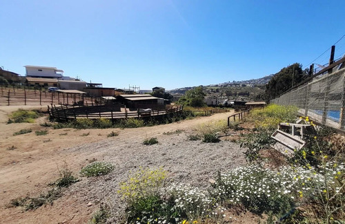 Terreno En Laguna Para Proyecto Inmobiliario
