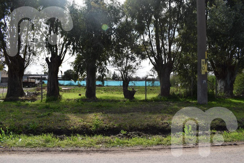 Imagen 9 de 10 de Venta Terreno - Los Hornos