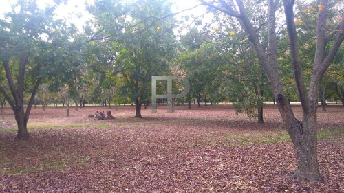 Imagen 3 de 4 de Chacra En Venta Otras 3 Dorm, 26 Has #1796