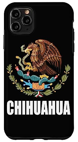 Funda Para iPhone 11 Pro Max Chihuahua Mexico Mexican State