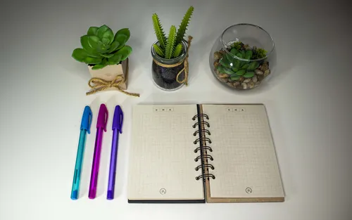 Libreta Ecológica Pequeña Diseño De Cerebro En Madera Apunte