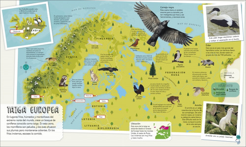 Mi Primer Atlas De Animales