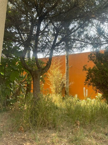 Terreno En Venta En Constituyentes: Lomas Altas