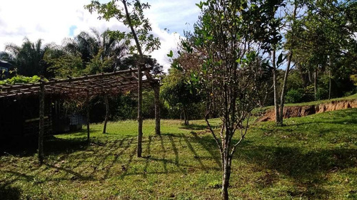 Imagem 11 de 14 de Chácara Com Piscina Lago Pomar 10.000 M² Bem Localizada