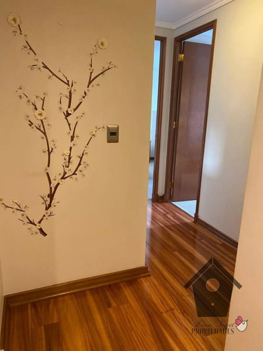 Nueva Libertad, Viña Del Mar, 2d 2b, 77/97m2