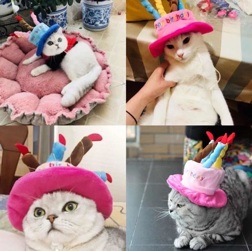 Gorros Ajustable Perros Gatos