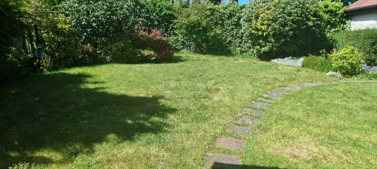 Imagen 4 de 17 de Se Vende Casa