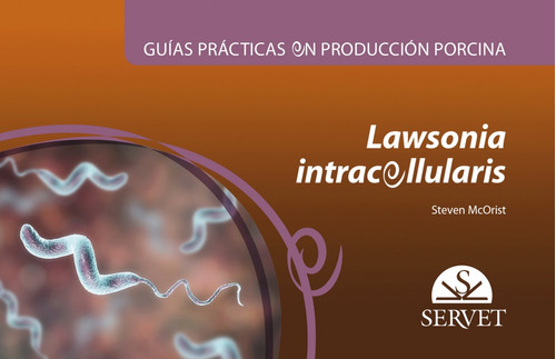 Guias Practicas En Produccion Porcina Lawsonia Intracellular