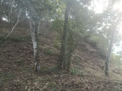 Lote Villeta