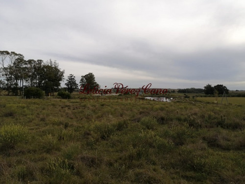 Venta De Chacra En Ruta 9, 5 Has- Ref: 19215