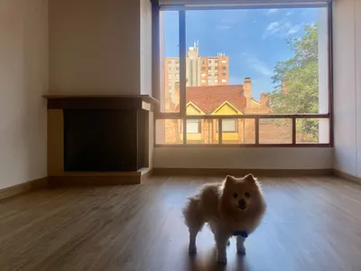 Apartamento en arriendo
