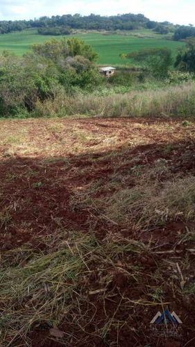 Imagem 5 de 15 de Chácara Com 2 Dormitórios À Venda, 12151 M² Por R$ 220.000,00 - Ribeirão Jataizinho - Assaí/pr - Ch0213