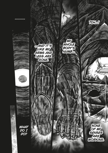 Berserk Deluxe Volumen 13 (berserk, 13)