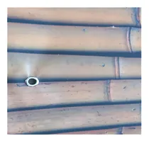 Comprar Lona Pvc Para Cerramiento Balcón O Reja, Estampada C Ojales