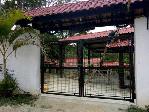 Imagem 7 de 20 de Chácara Com 3 Dormitórios À Venda, 7600 M² Por R$ 742.000,00 - Chácaras Casemiro - Suzano/sp - Ch0625