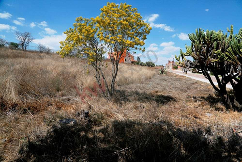 Terreno La Presita