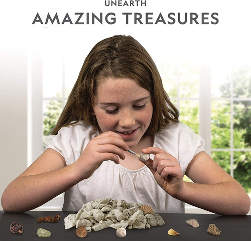 Mega Fossil Dig Kit Excavate 15 Fósiles Reales, Incluy...