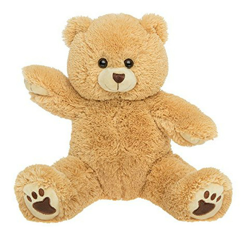 Peluche Grabable Parlante 15  Teddy Bear