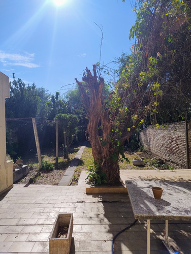 Alto Alberdi Vendo Casa 2 Dormit, 2 Baños, Cochera Y Patio + Depto 1 Dormit, C/terraza.