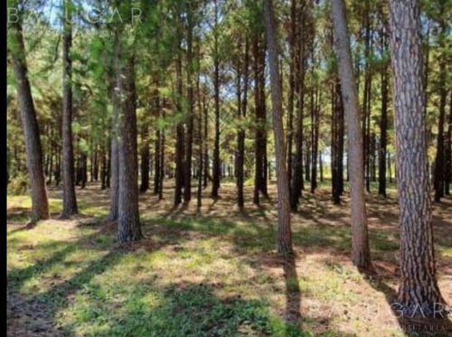 Venta - Lote Central Con Vista Al Golf En Pinares Country Club