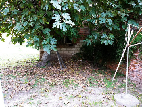 Imagen 5 de 5 de Lote En Venta En Tolosa - Ideal Emprendimiento