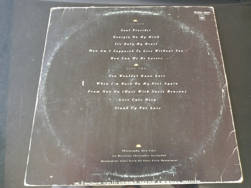 Lp Michael Bolton - Soul Provider 1989 Ótimo Estado (cód.61)