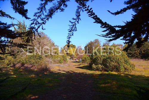 Arriendo Terreno Comercial Las Cruces.