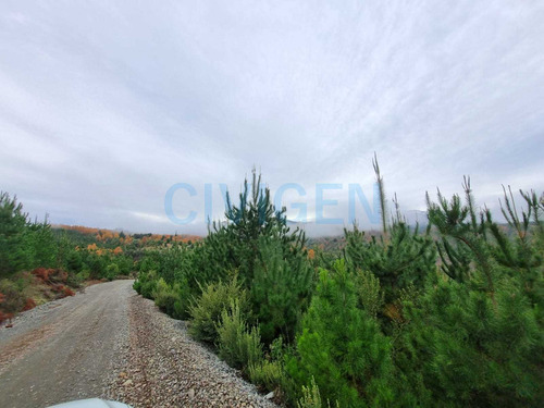 Tranquila Parcela 0,5ha Tranquilidad (92297)