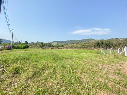 Imagem 2 de 4 de Terreno À Venda, 535 M²- Picada Cara - Feliz/rs - Te0455