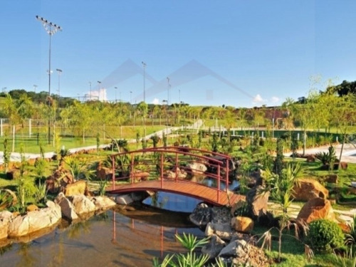 Imagem 11 de 16 de Terreno - Te00071 - 3090532