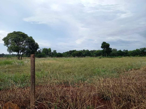 Imagem 4 de 7 de Chácara À Venda, 1000 M² Por R$ 200.000,00 - Imóvel Alwin - Foz Do Iguaçu/pr - Ch0018