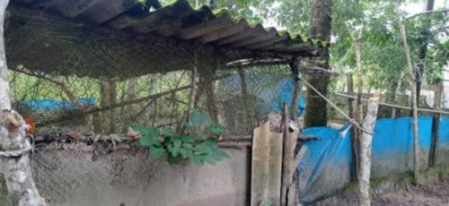Imagem 19 de 25 de Chácara Com 50.000 M² De Área Total E Com Horta, Lago, Riacho, Pomar E Cozinha Caipira, No Bairro Gaivota, Em Itanhaém Ref: 9242/ac