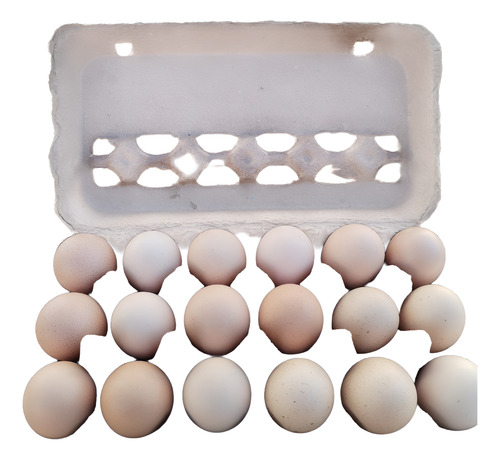 18 Huevos Fertiles Rhode Island Red Rancho Grillo Beige