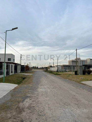 Imagen 10 de 18 de Lote En El Quimilar